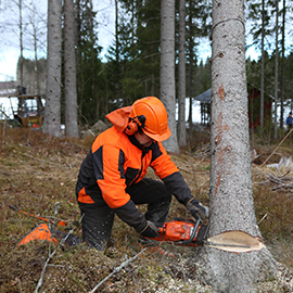 Chainsaw Safety